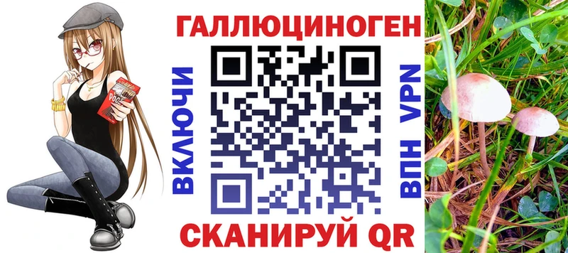 Псилоцибиновые грибы прущие грибы  ссылка на мегу ссылка  Пикалёво 