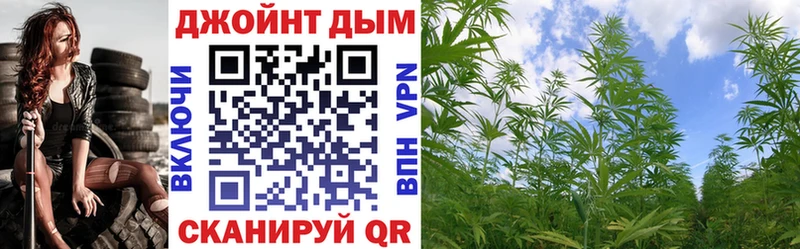 где продают   Пикалёво  Шишки марихуана планчик 